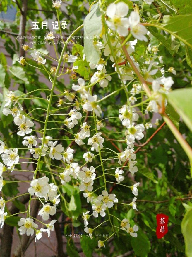 早餐•2019年5月30日