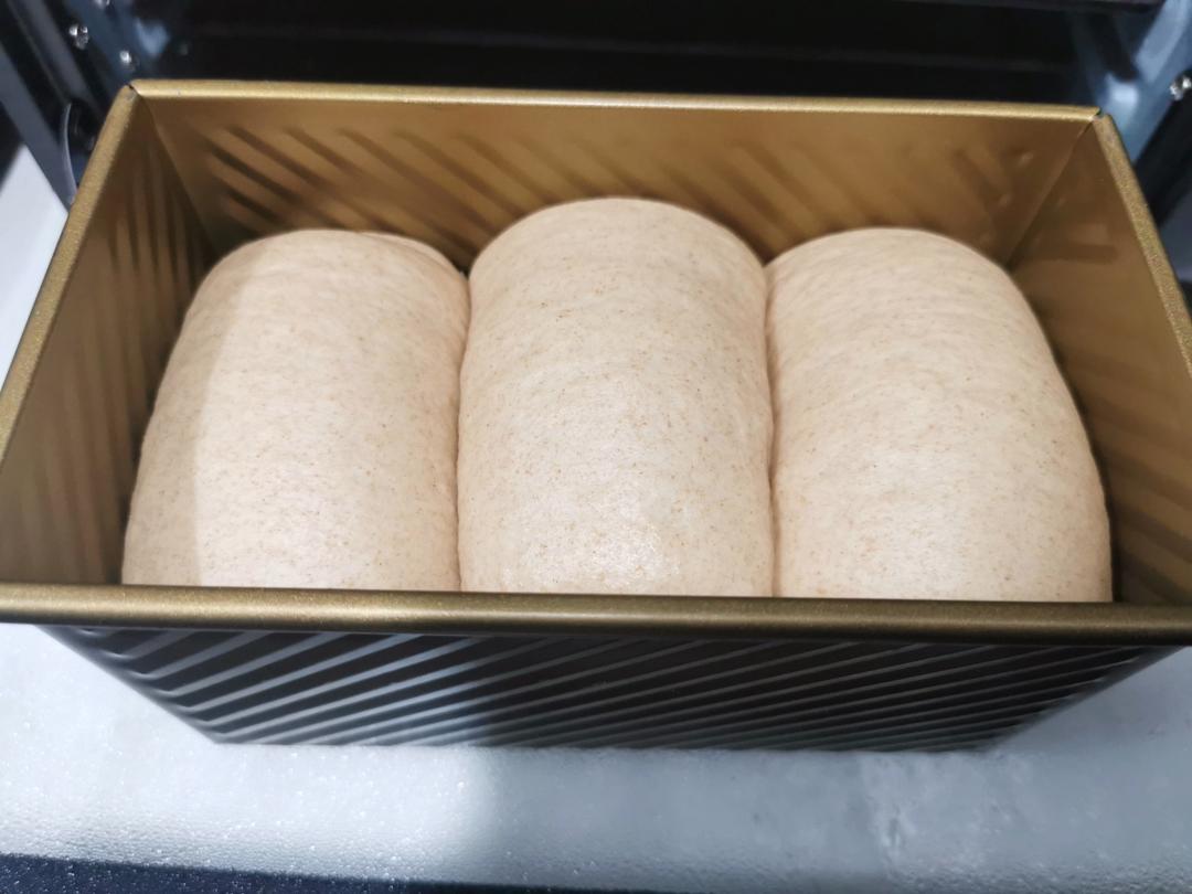 全麦吐司