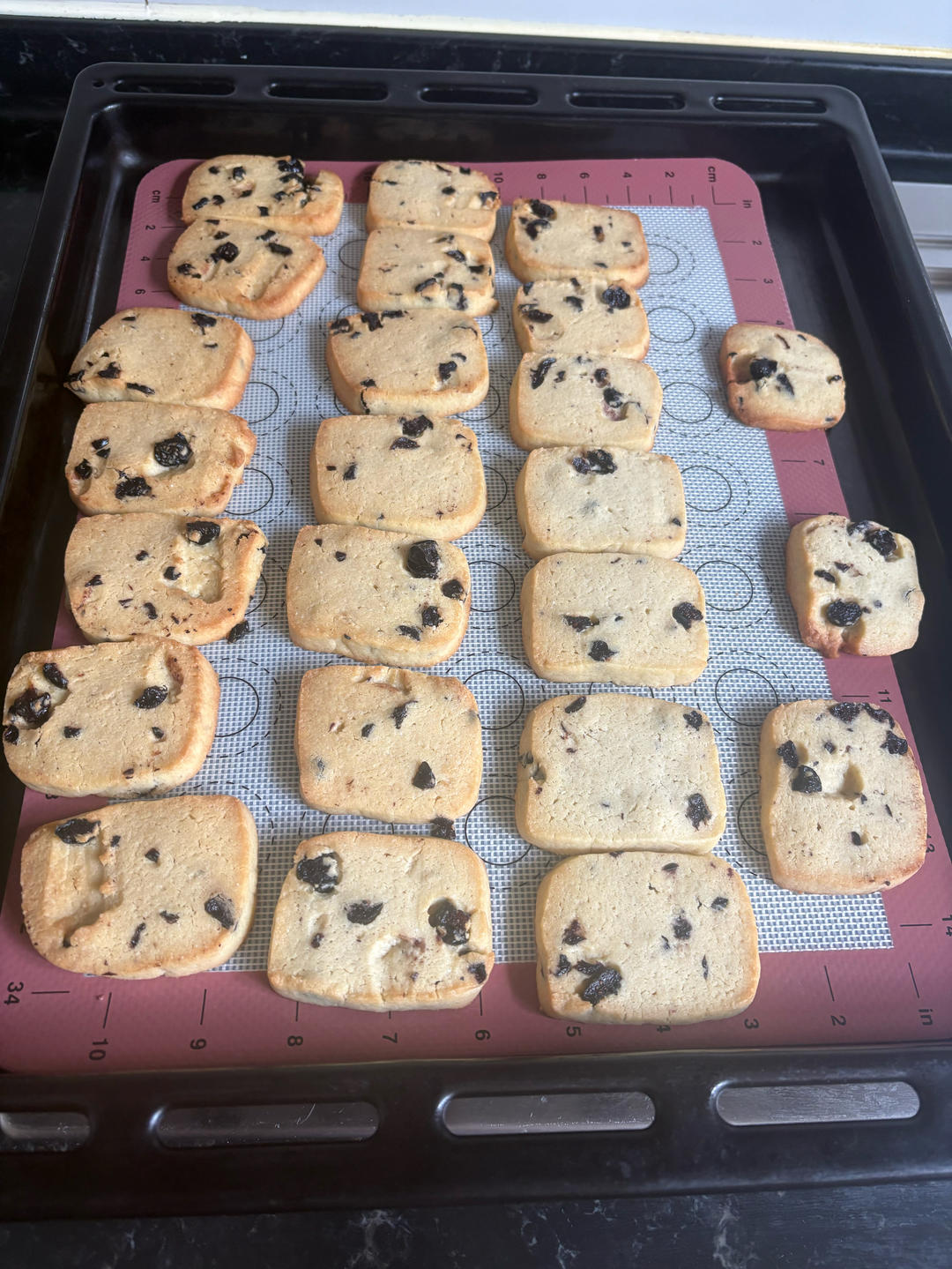 蔓越莓饼干--新手烘焙0压力 #皮黑森林#