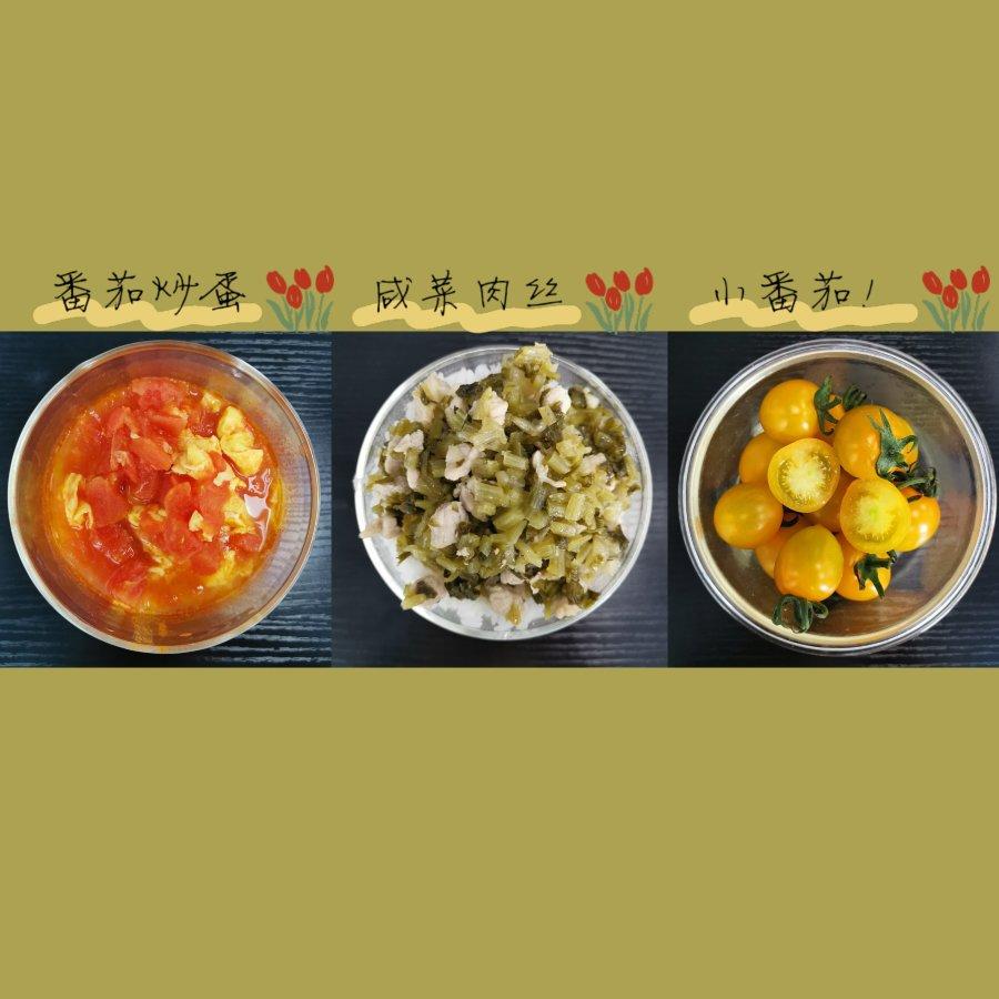 更期待明天的便当集🍱🥢