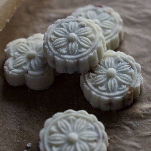 远冬_今天摸鱼了吗