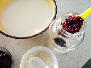 血糯米酒酿奶茶的做法 步骤11