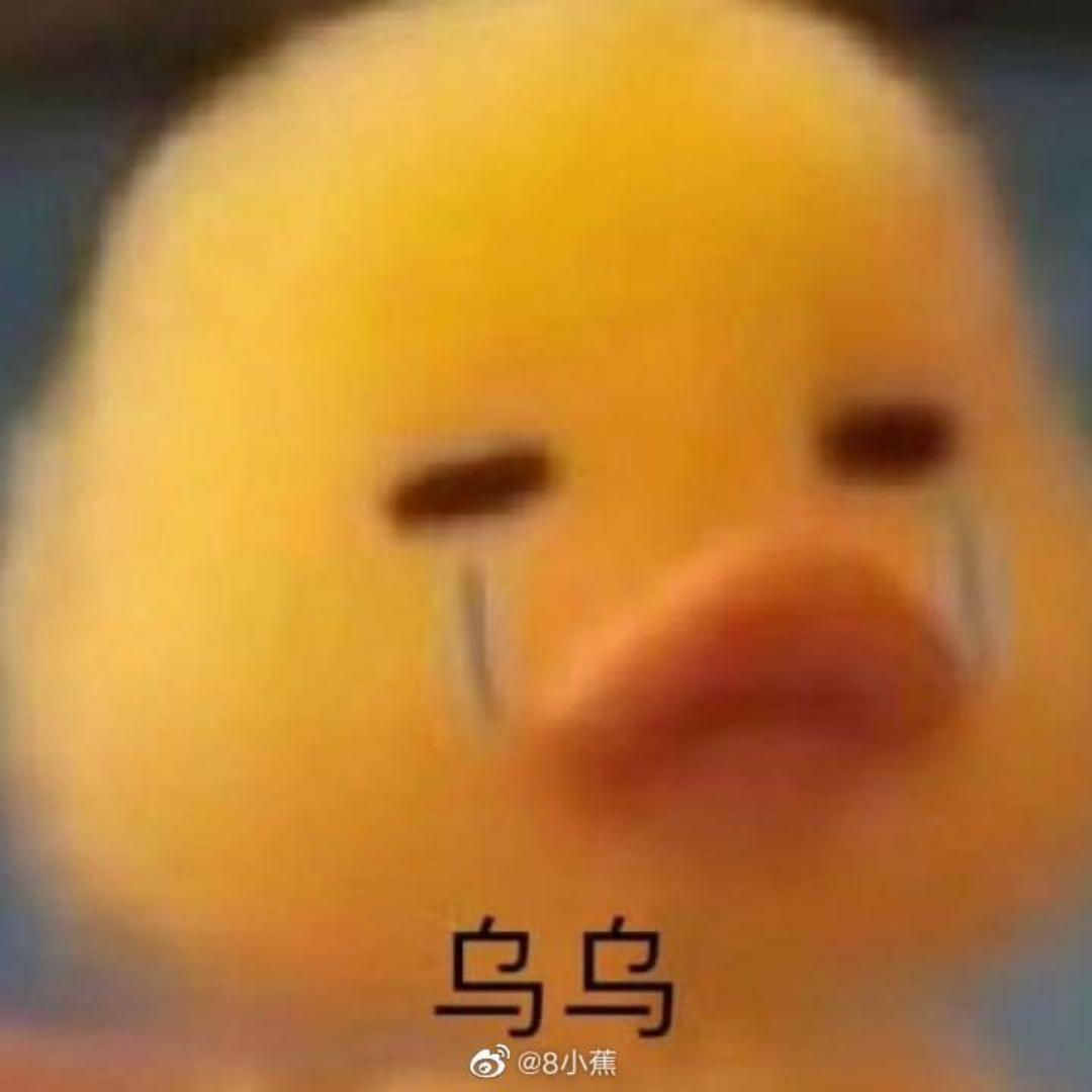 瞎取一个名字吧