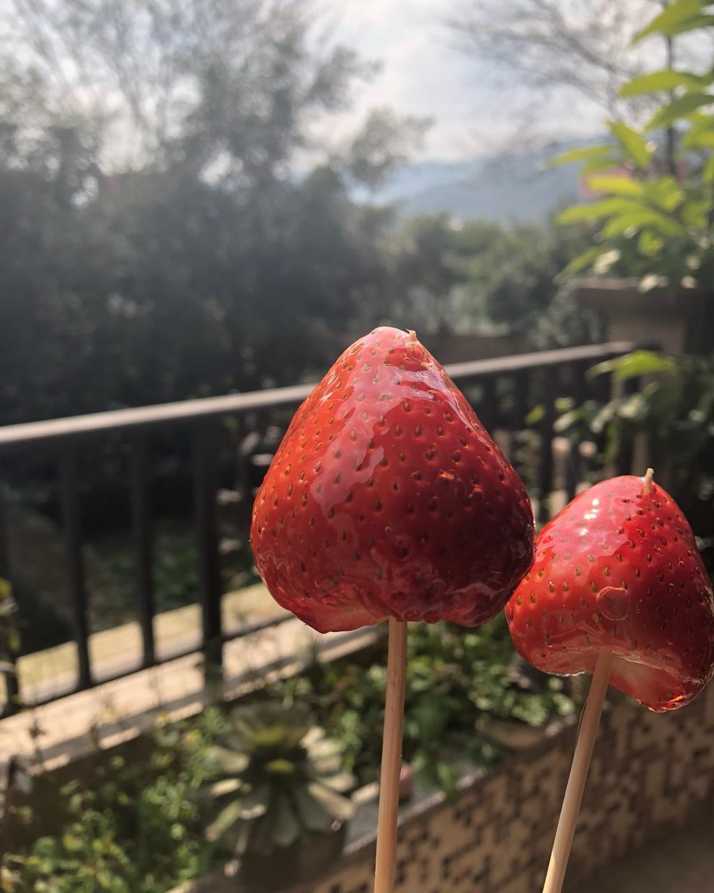 《Tinrry下午茶》教你做冰糖葫芦