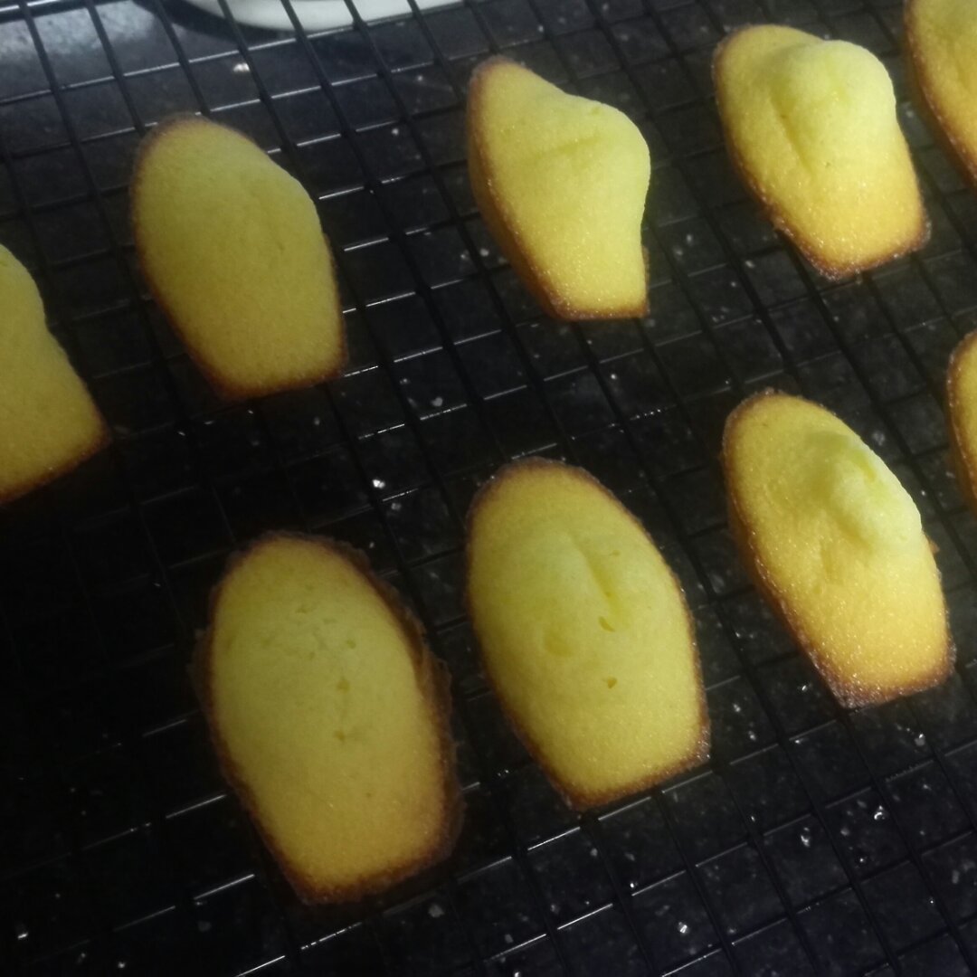 蜂蜜玛德琳