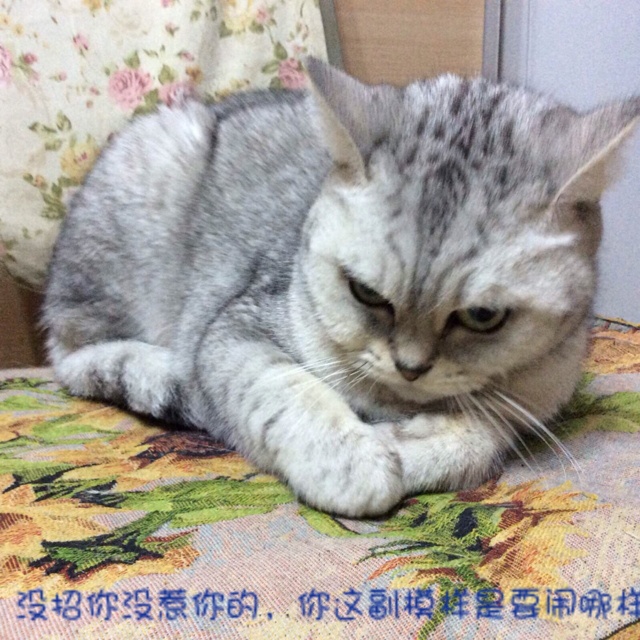 能让户主眉开眼笑的早餐的做法