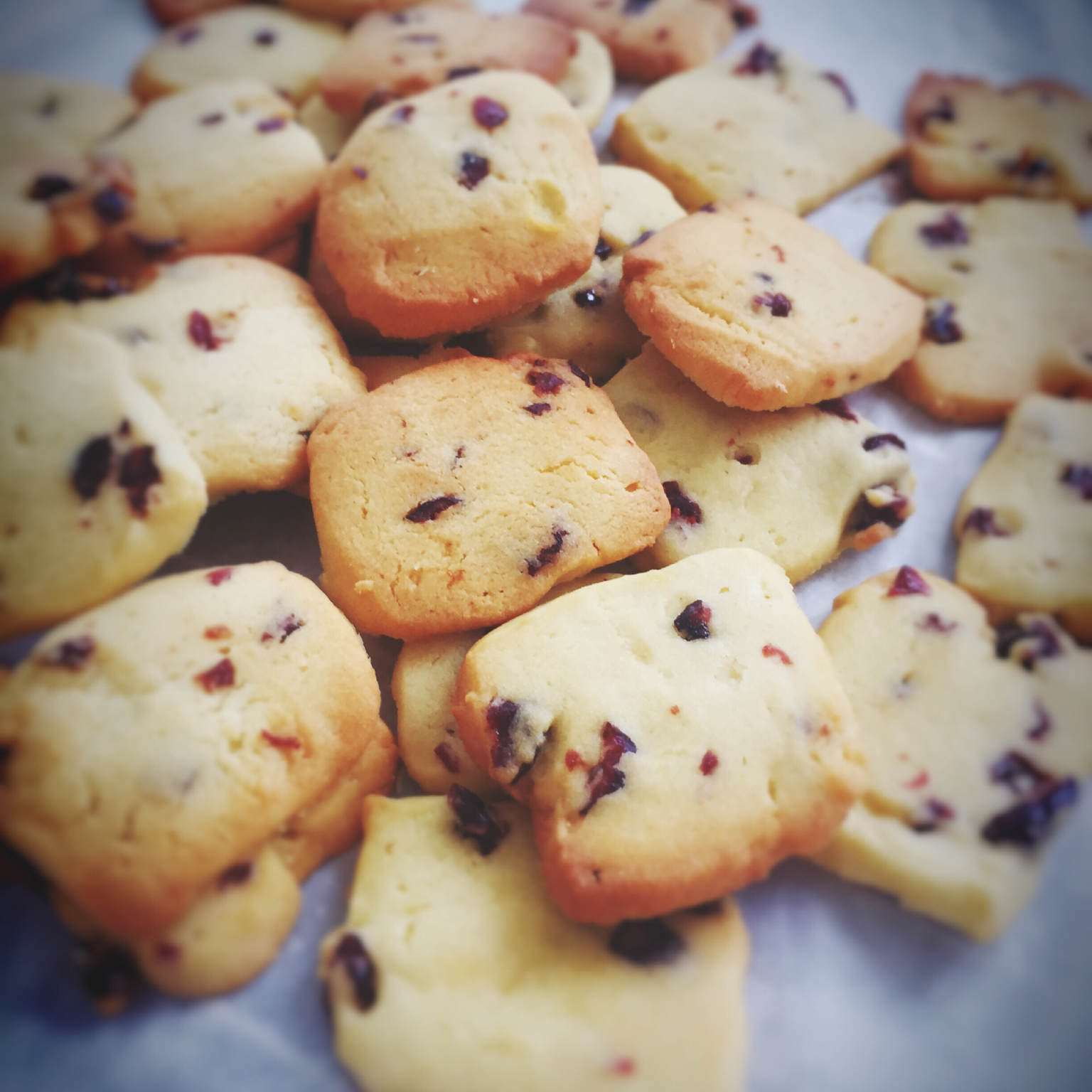 蔓越莓饼干--新手烘焙0压力 #皮黑森林#