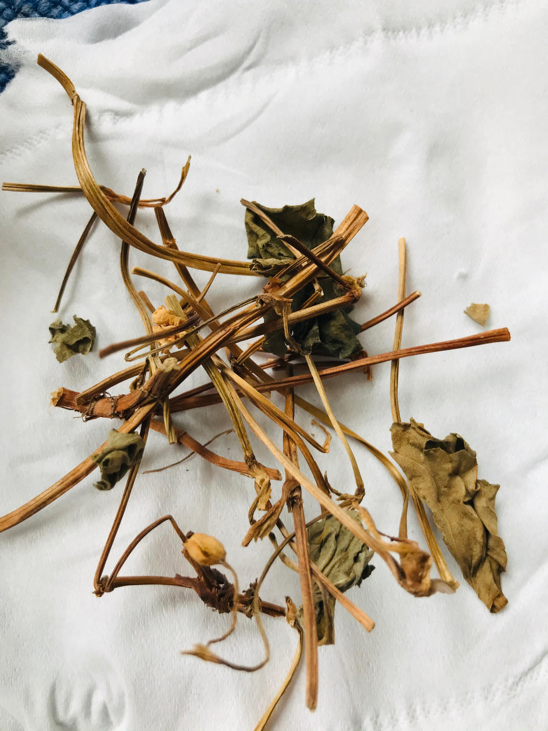 清润降火水果茶【3月北鼎养生壶食谱】
