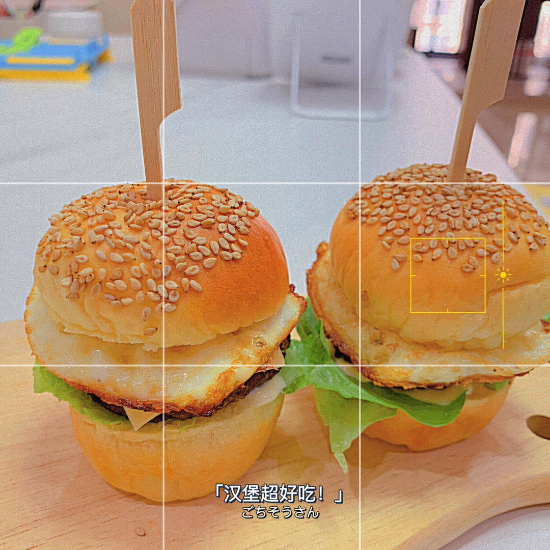 记录一个超级软的万用汉堡胚（波兰种）