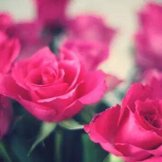 手机用户5555_fql0