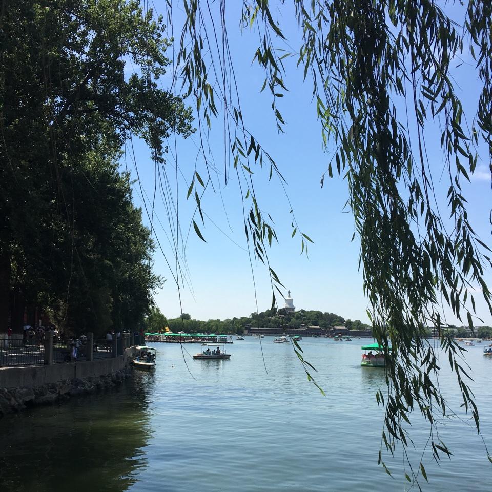 安宝He兰妈美食记录