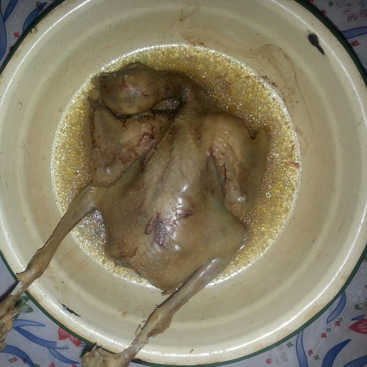 清蒸乳鸽
