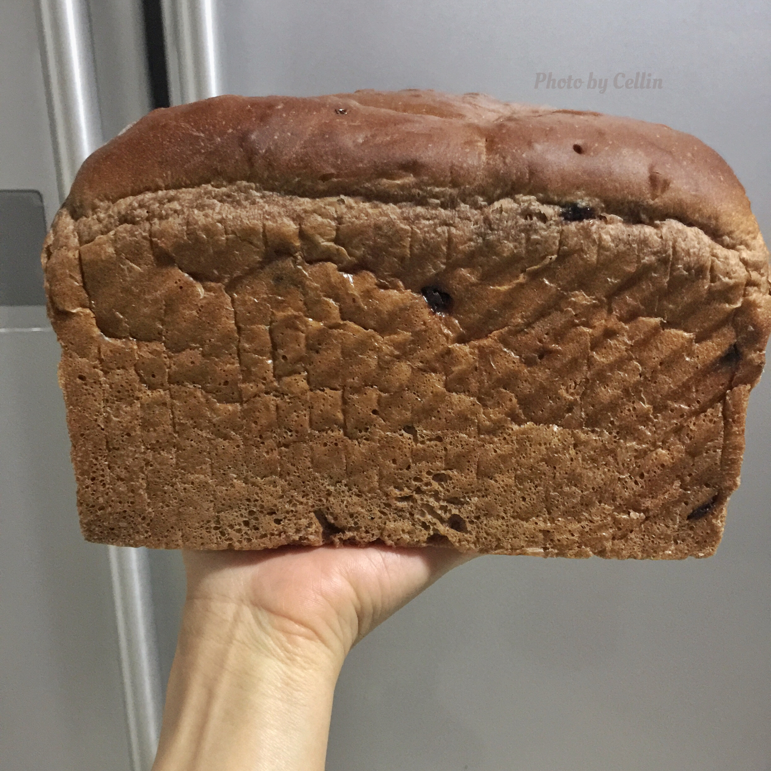 一次发酵巧克力可可吐司～老面版