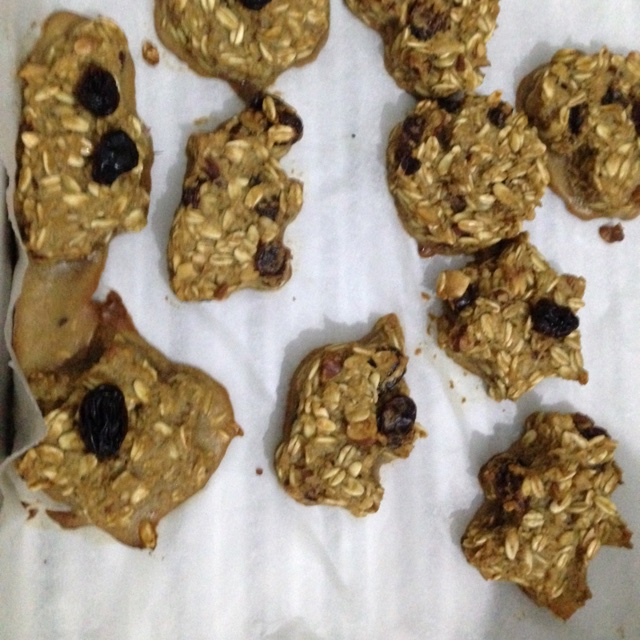 中岛老师的燕麦饼干