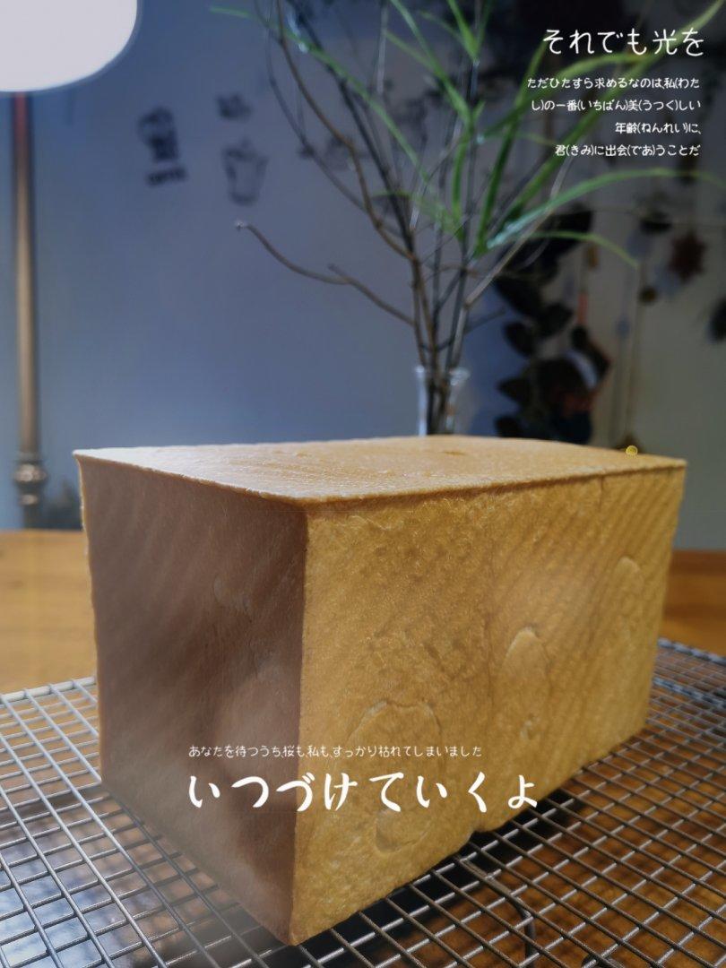 蛋黄全麦吐司（波兰种）