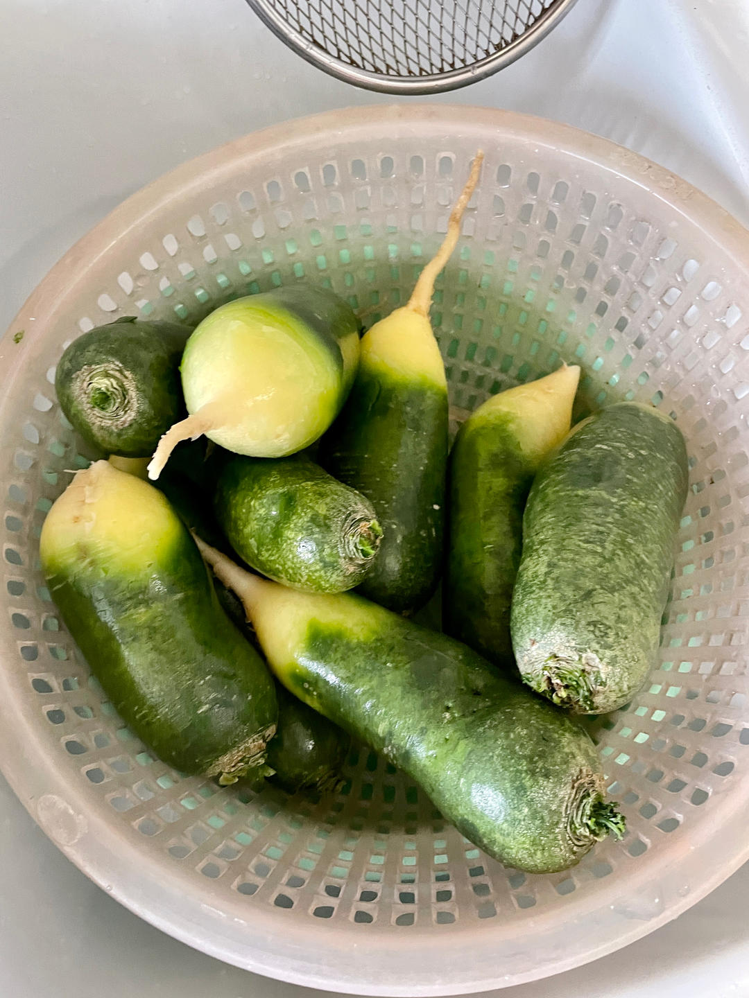 万能下饭菜腌萝卜干