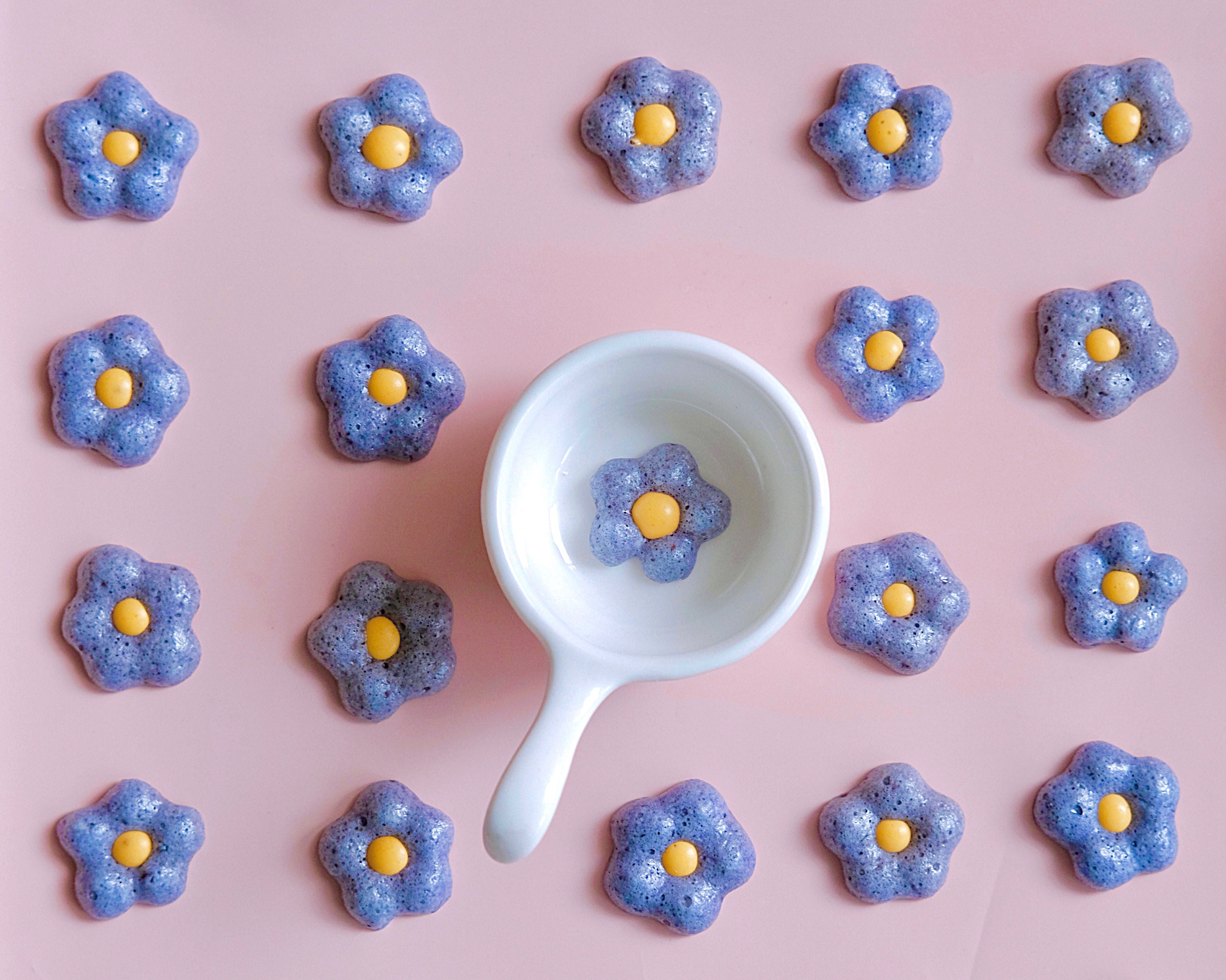 蓝莓花朵溶豆