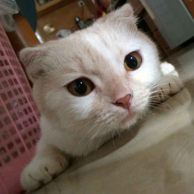 JackyKay56
