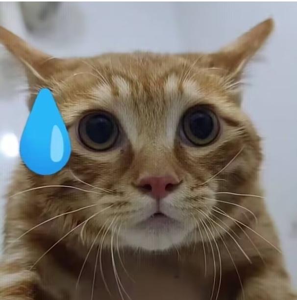 飞天通菜的做法