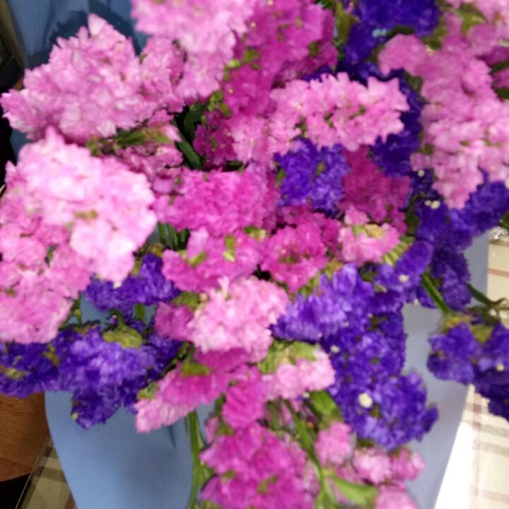 手机用户0114_mw1q