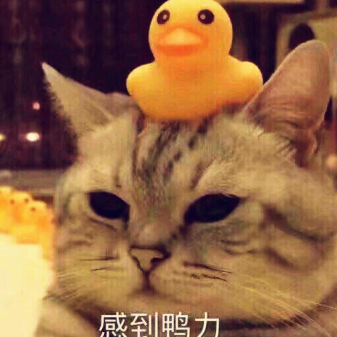 吃可爱多长大的杨小厨