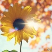 葱包烩儿不要葱