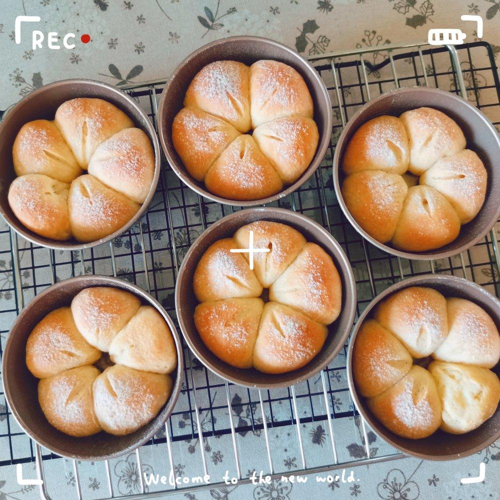 一次发酵牛奶面包棒