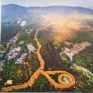 豆包和汉堡的妈