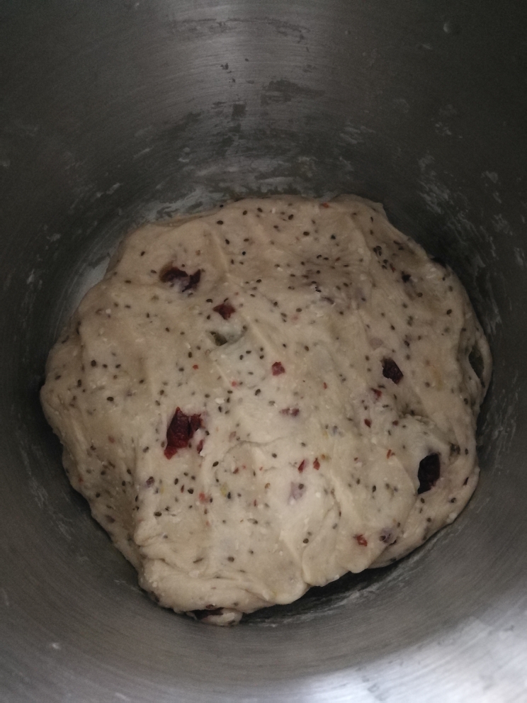 奇亚籽丑丑熊果料面包～小烤箱版本的做法 步骤11