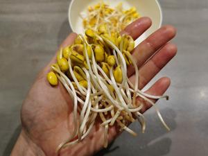 自发豆芽②－黄豆芽，比绿豆芽慢且难，但四五天也能吃上的做法 步骤8