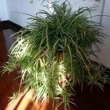 白云悠悠02