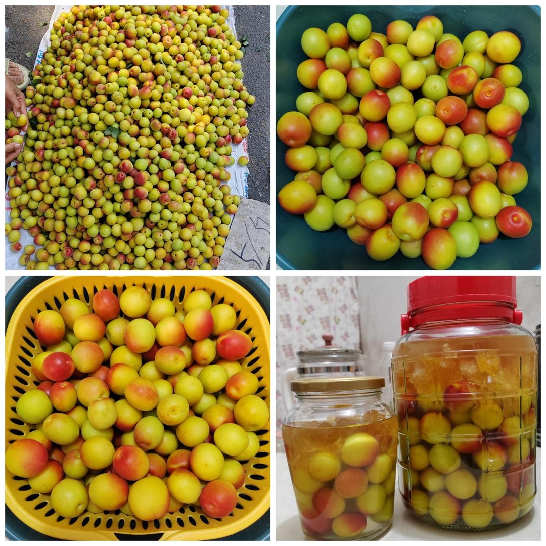 青梅酒（胭脂梅酒）的做法