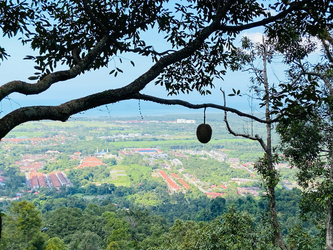 晚餐•2025年12月7日