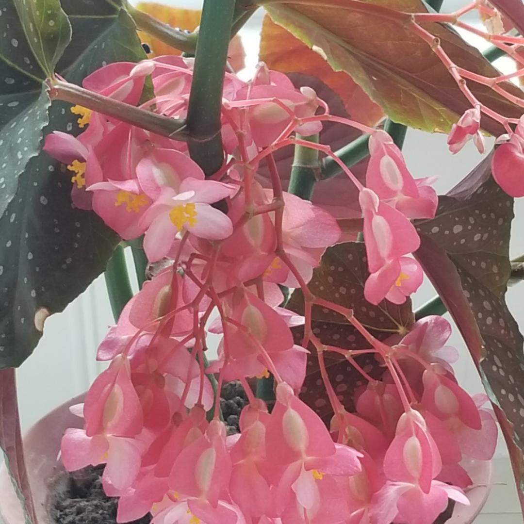 曾经说过我是谁