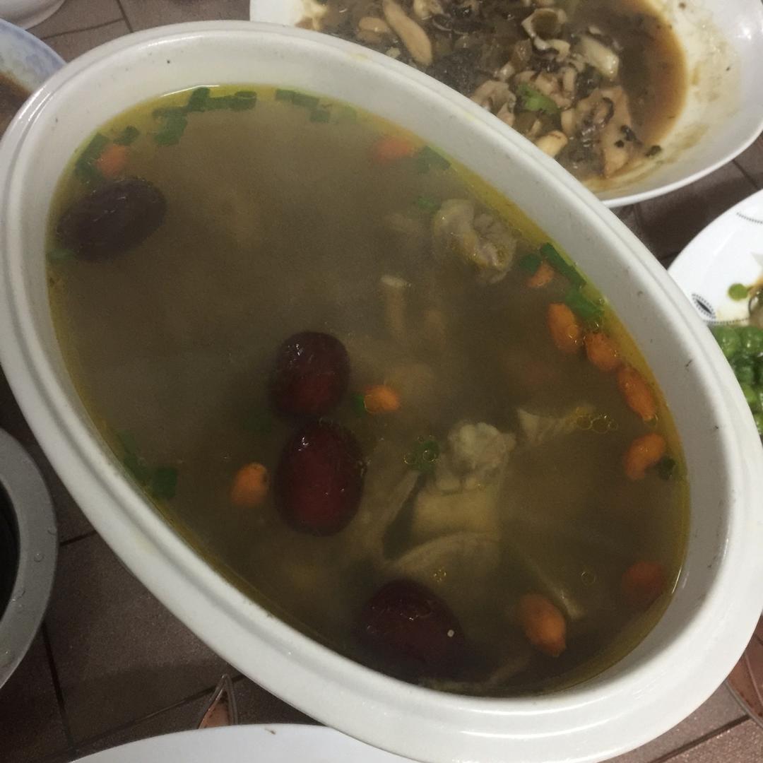 金猫咪食堂-滋补乳鸽汤