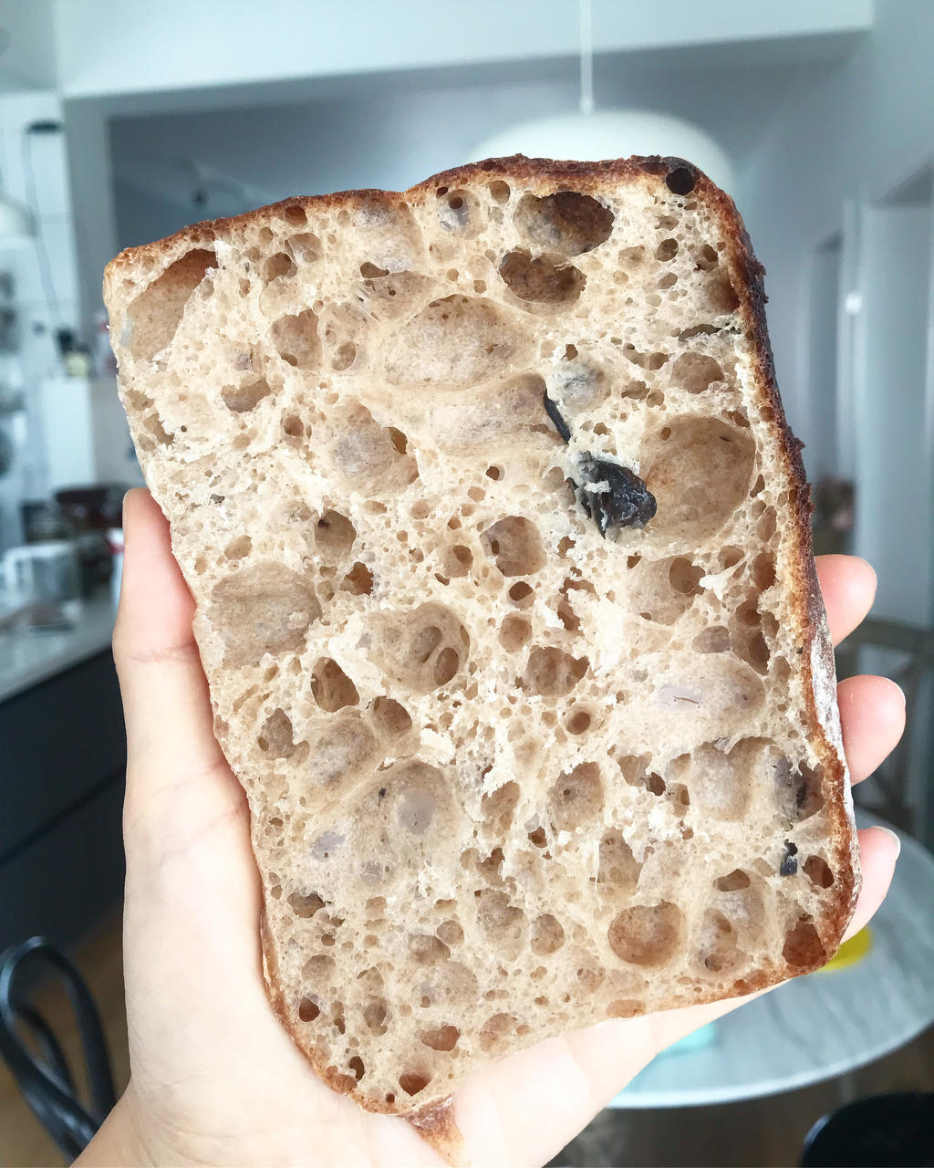 鲁邦种冷藏隔夜法恰巴塔Ciabatta（练习记录）