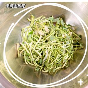 自制金银花茶的做法 步骤3