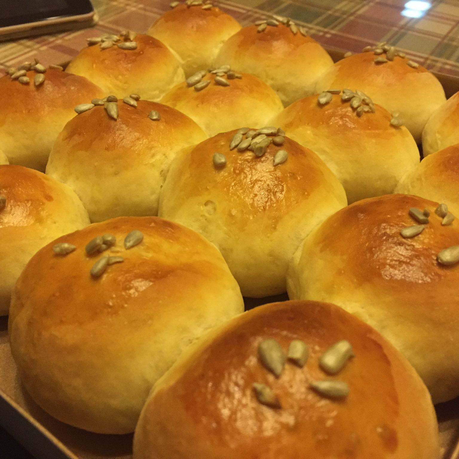 奶油奶酪小餐包