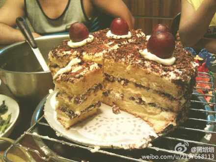 蜜豆白森林