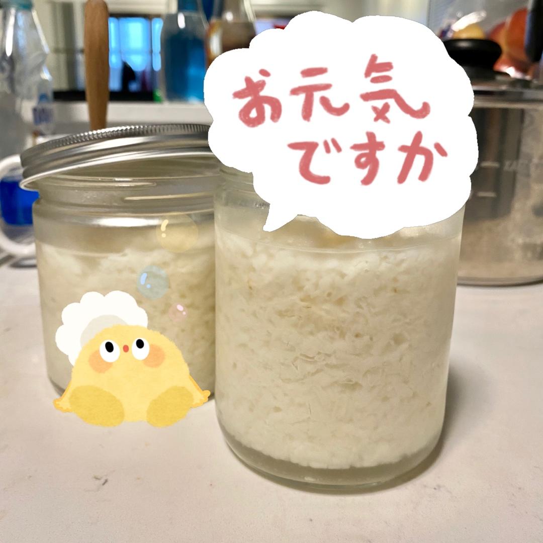 6分钟自制米酒【省事米酒最简易的打开方式】ヽ(•̀ω•́ )ゝ自制酒糟.醪糟.酒酿