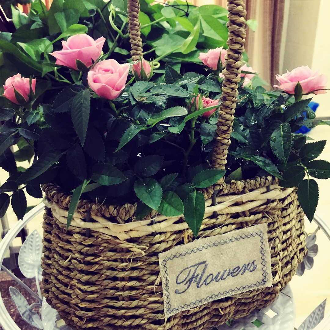 手机用户2965_pb24