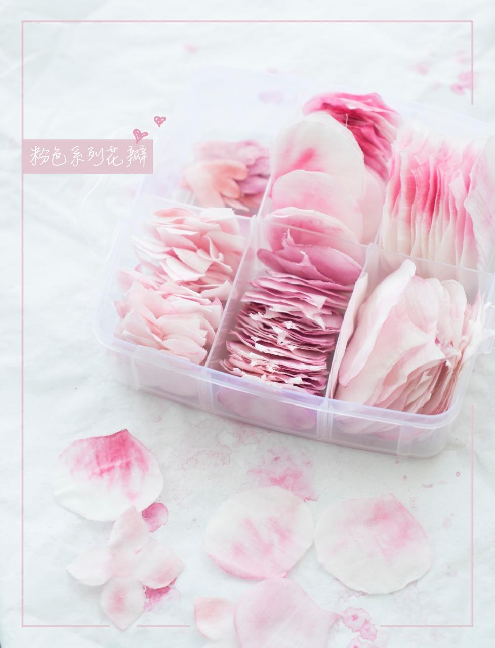 相机吃的菜哦(◍•ᴗ•◍)