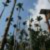 换个温柔贤惠的名字