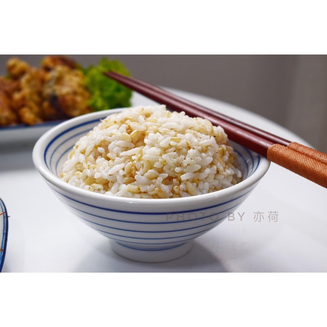 亦荷yihe做的糙米饭