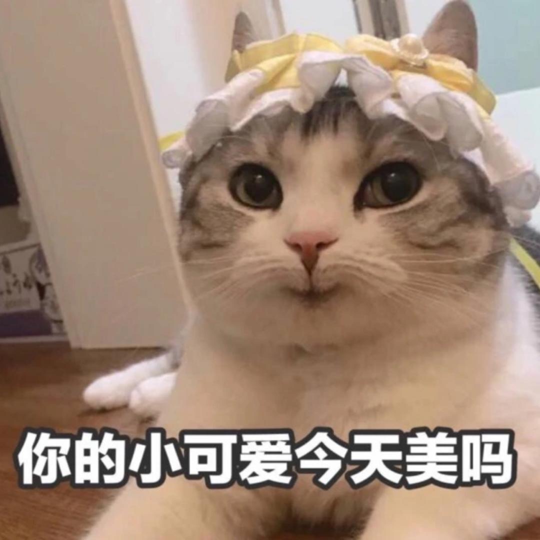 一只小甜鸭