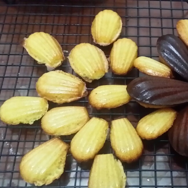迷你玛德琳蛋糕