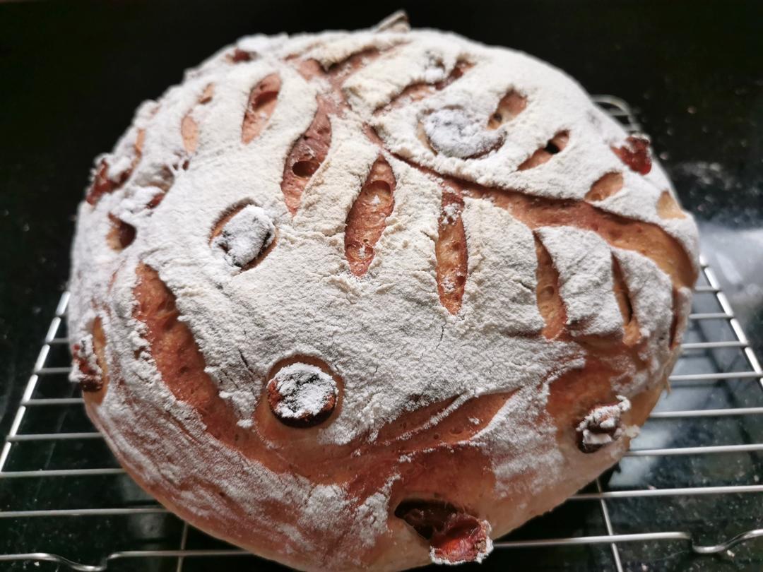 无限次回做的软欧【桂圆全麦面包】