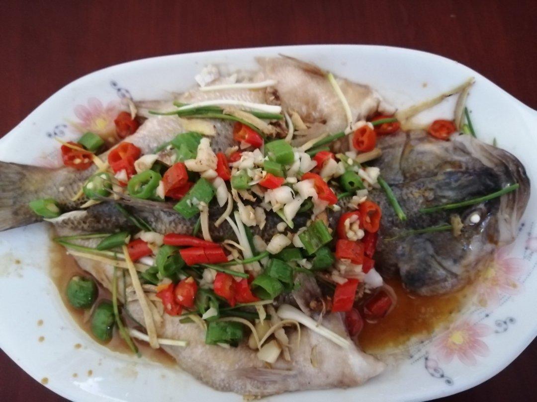 美味清蒸鱼（鳜鱼或鲈鱼）