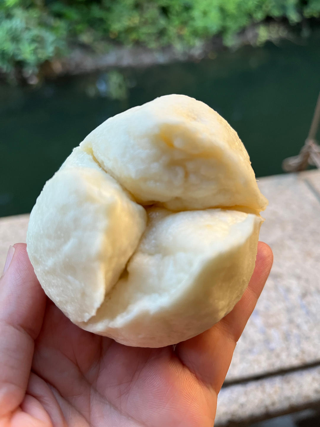 快手又好吃的粤式开口叉烧包
