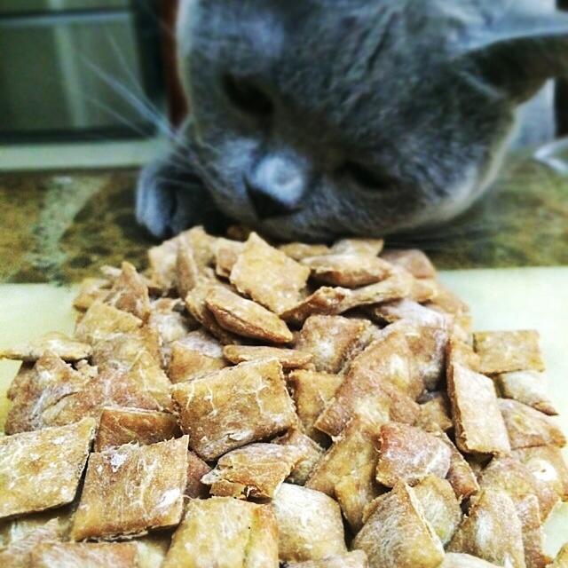 猪肝小饼干（宠物零食）的做法